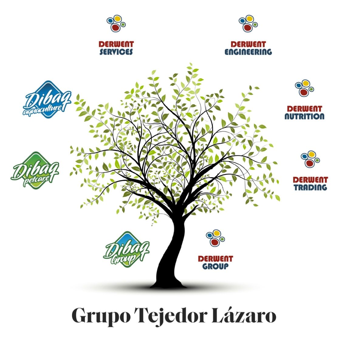 Líderes en nutrición animal, acuicultura, sostenibilidad, innovación