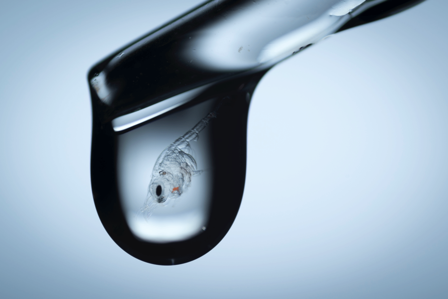 Grupo - Nuestra Apuesta por I+D+i